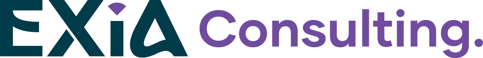 Exia Consulting Logo